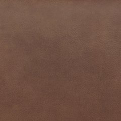 Status Check Recliner - Furniture Bros & Mattress (Bolingbrook, IL)
