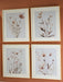 Chettings Wall Art (Set of 4) - Furniture Bros & Mattress (Bolingbrook, IL)