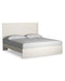 Stelsie Bed - Furniture Bros & Mattress (Bolingbrook, IL)