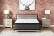 Ultra Luxury PT with Latex California King Mattress - Furniture Bros & Mattress (Bolingbrook, IL)