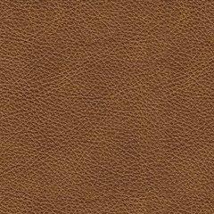 Carianna Living Room Set - Furniture Bros & Mattress (Bolingbrook, IL)