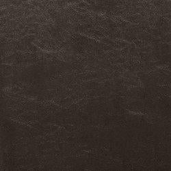 Kimonte Dining Chair Set - Furniture Bros & Mattress (Bolingbrook, IL)