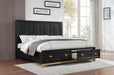 B236 Black-Gold Bed - Furniture Bros & Mattress (Bolingbrook, IL)