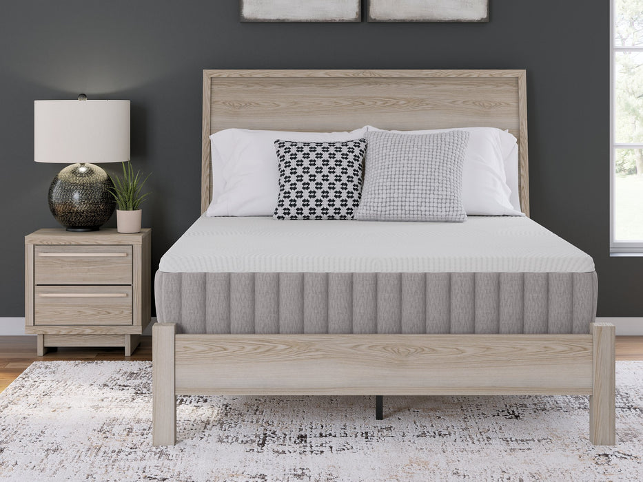 Terra Sleep Medium Mattress - Furniture Bros & Mattress (Bolingbrook, IL)