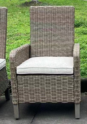 Laguna Heights Arm Chair with Cushion (Set of 2) - Furniture Bros & Mattress (Bolingbrook, IL)