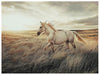 Errolville Wall Art - Furniture Bros & Mattress (Bolingbrook, IL)