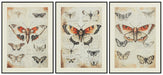 Jossletts Wall Art (Set of 3) - Furniture Bros & Mattress (Bolingbrook, IL)