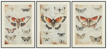 Jossletts Wall Art (Set of 3) - Furniture Bros & Mattress (Bolingbrook, IL)